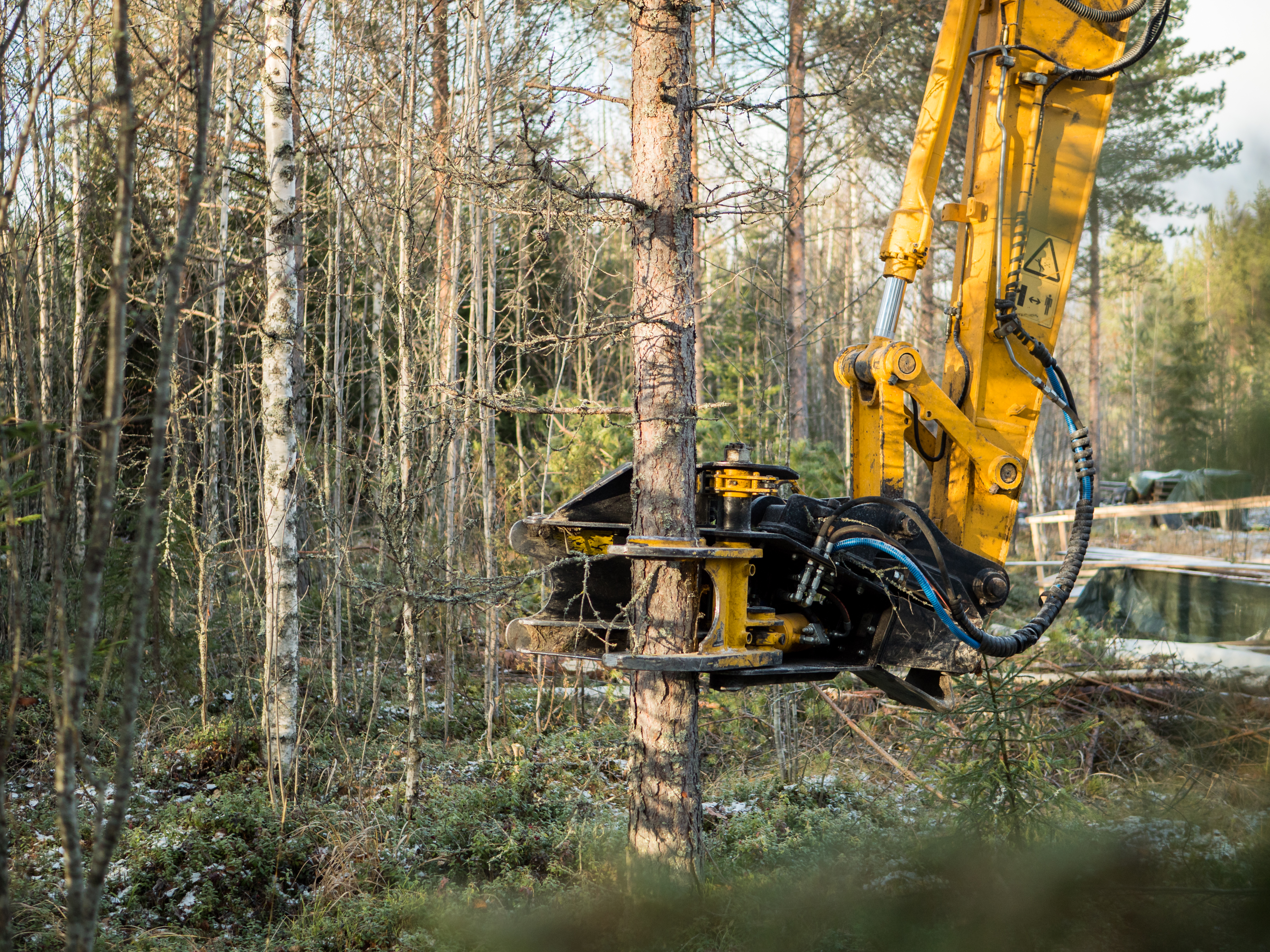 Baumschere TMK 200 mit MS03 mieten