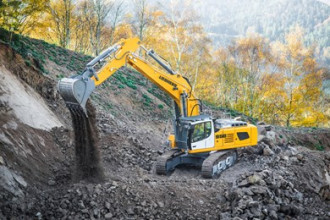 Liebherr R 956 Weiden in der Oberpfalz